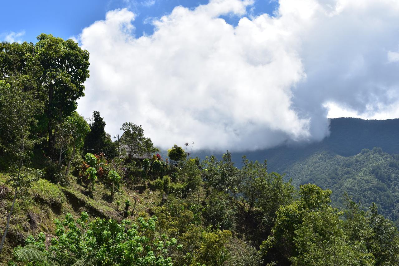 Hiwang Native House Inn&Viewdeck Banaue Exterior foto